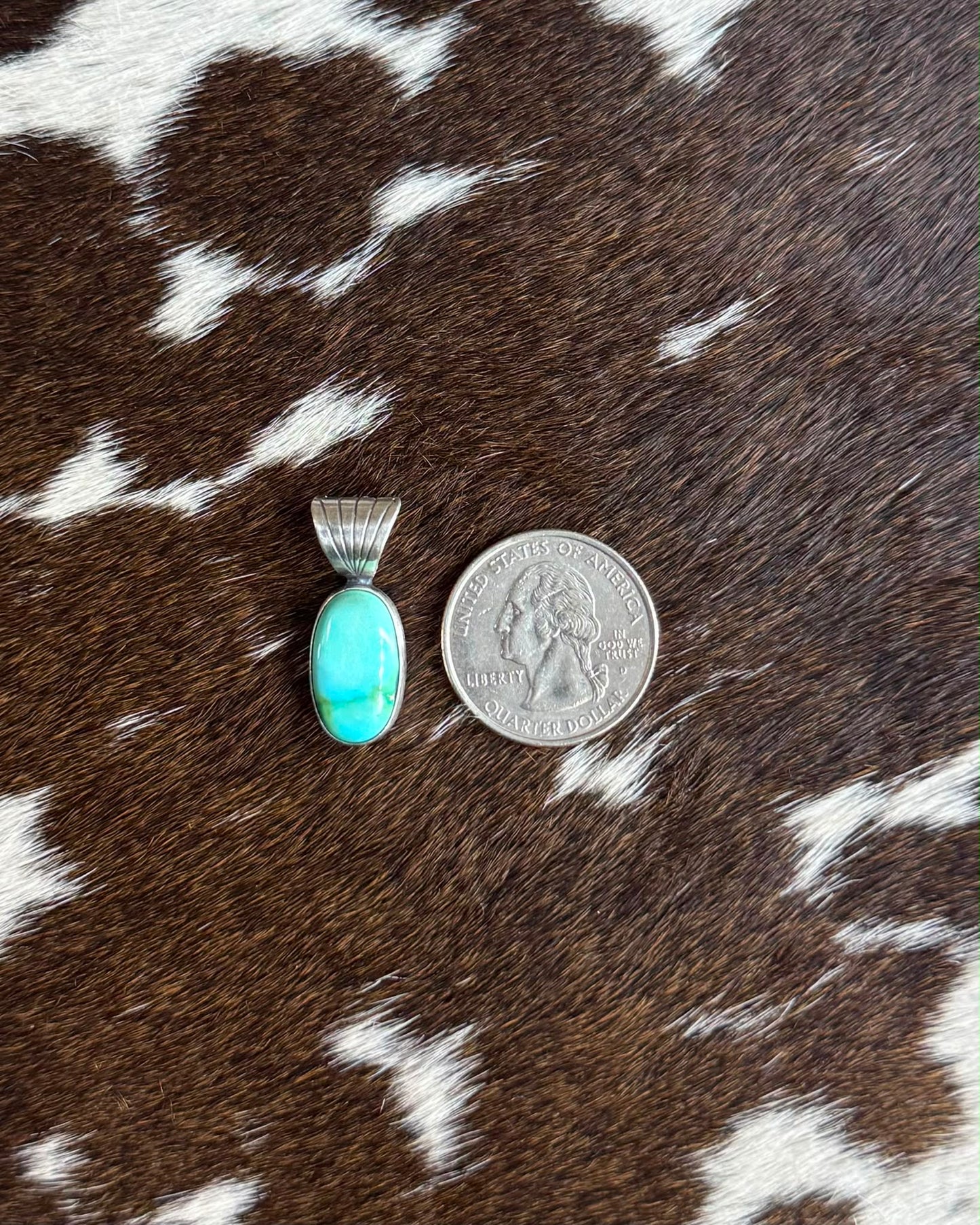 Dainty Sonoran Pendant *Native