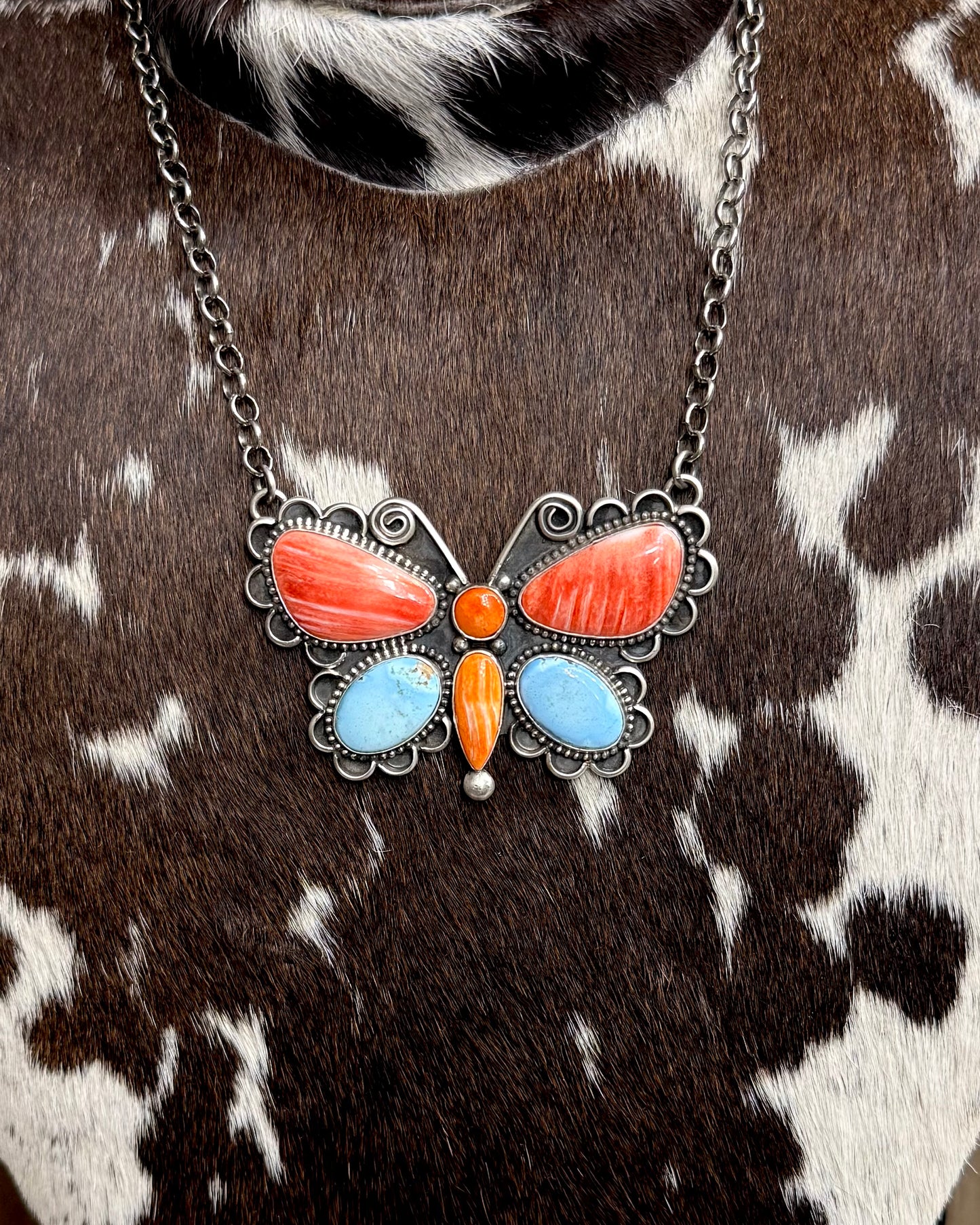 Spiny Golden Hills Butterfly *Native