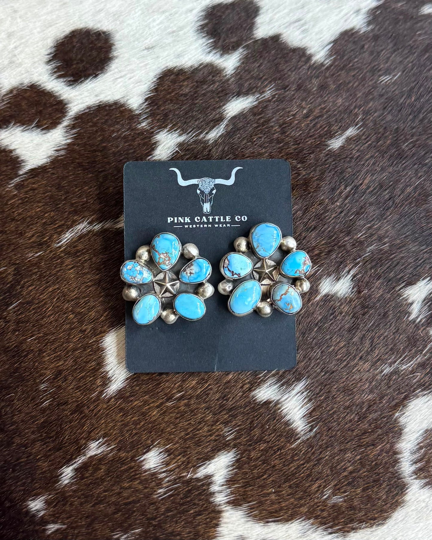 Golden Hills Star Cluster Earrings *Native