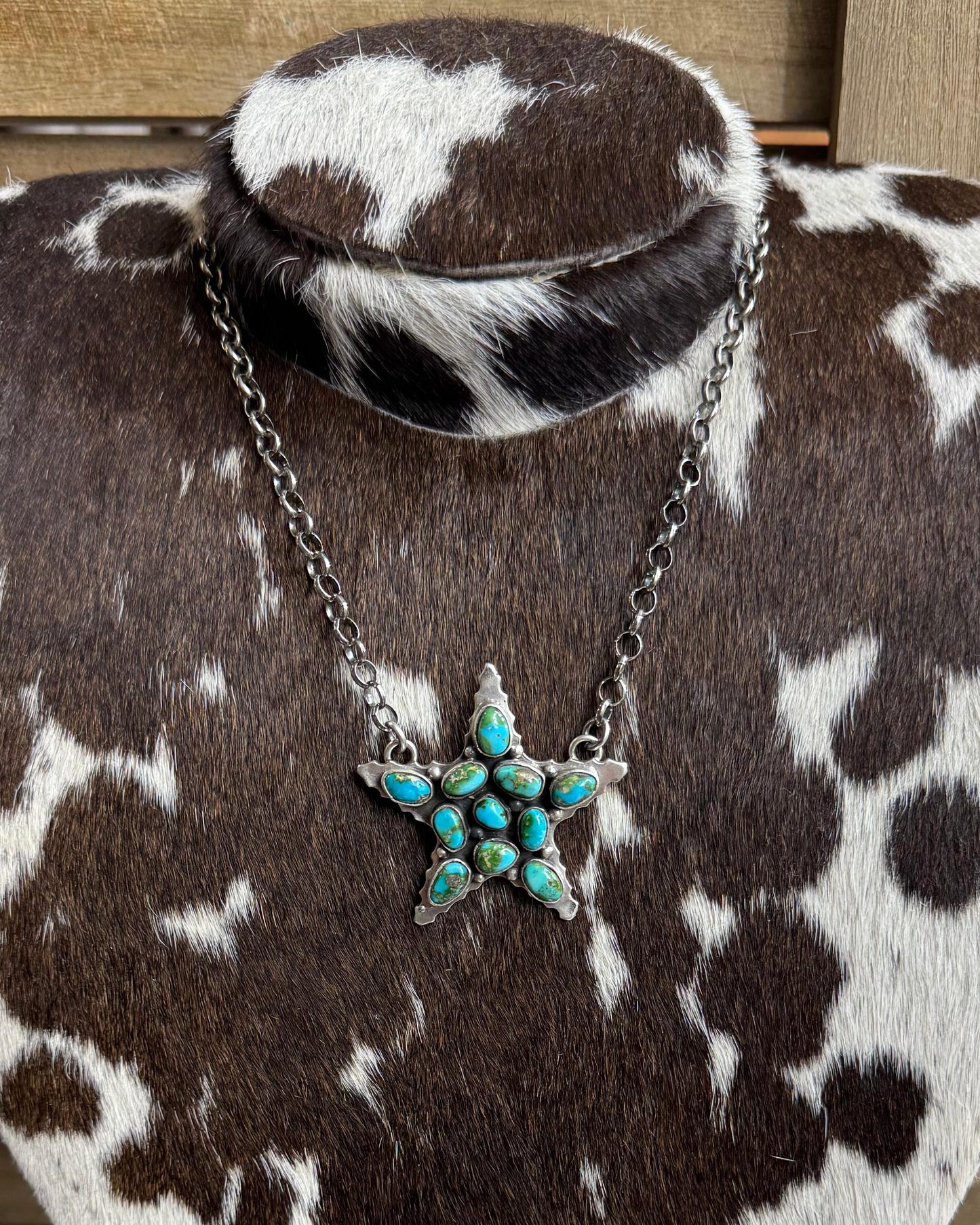 Sonoran Star Necklace *Native