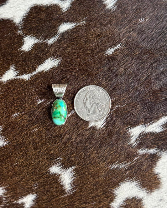 Dainty Sonoran Pendant *Native