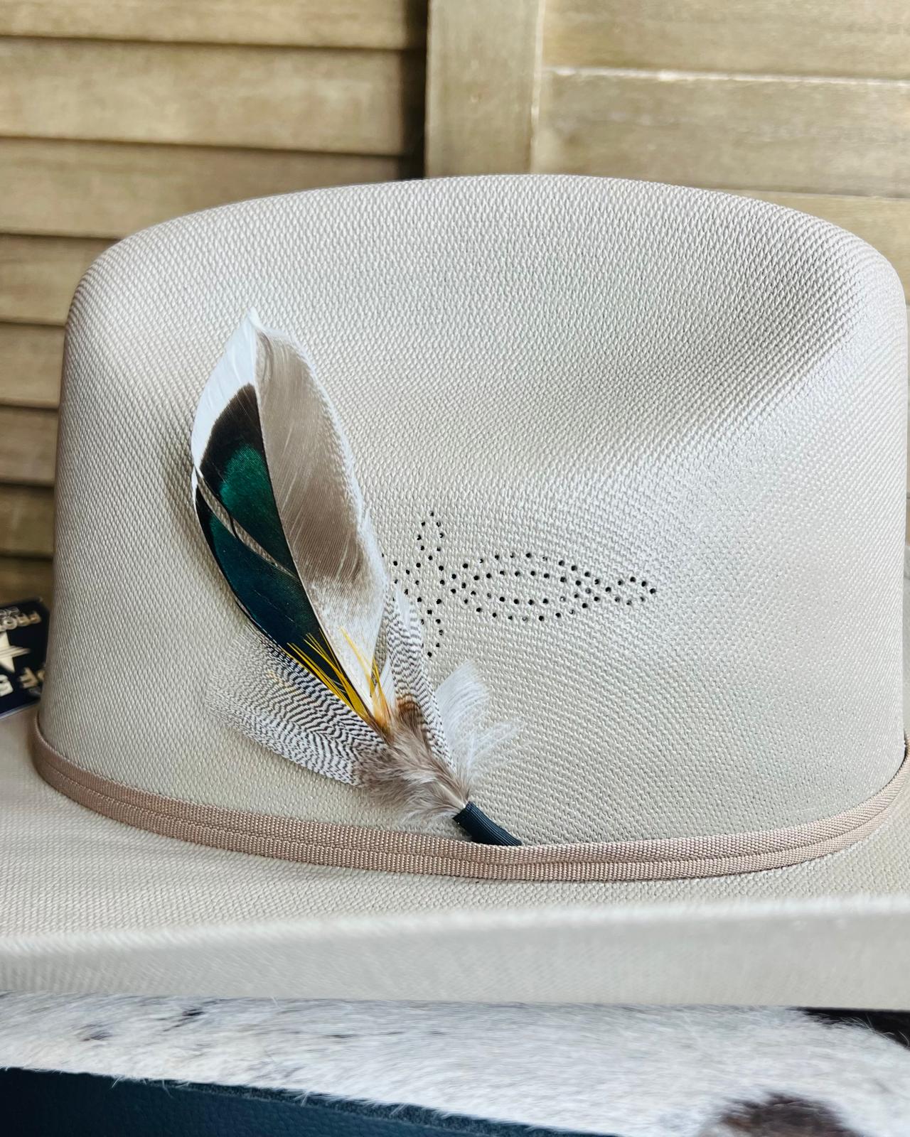 Blue Hat Feather