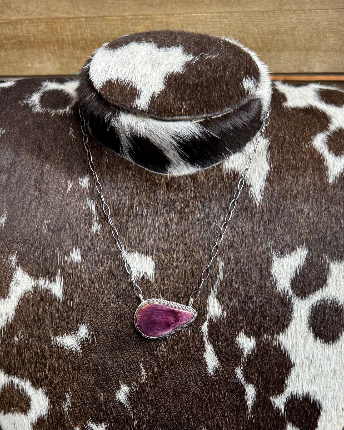 19.5 Purple Spiny Stone Necklace *Native