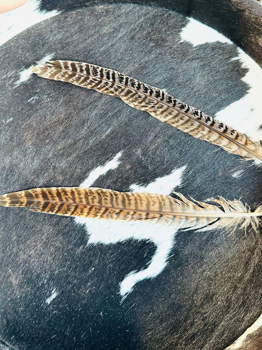 Hat Feather