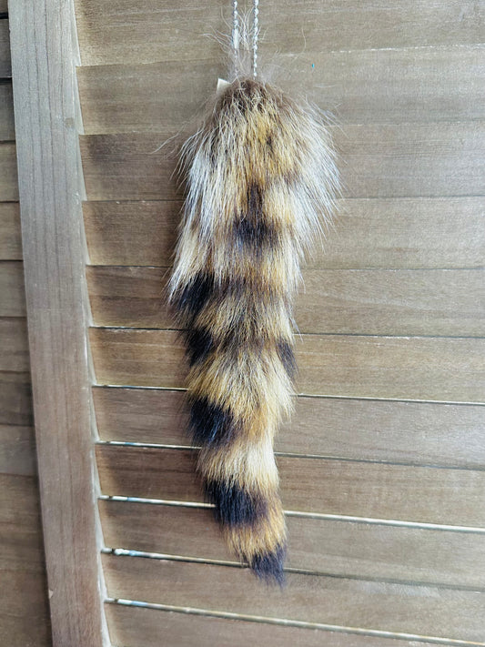 Bobcat Tail