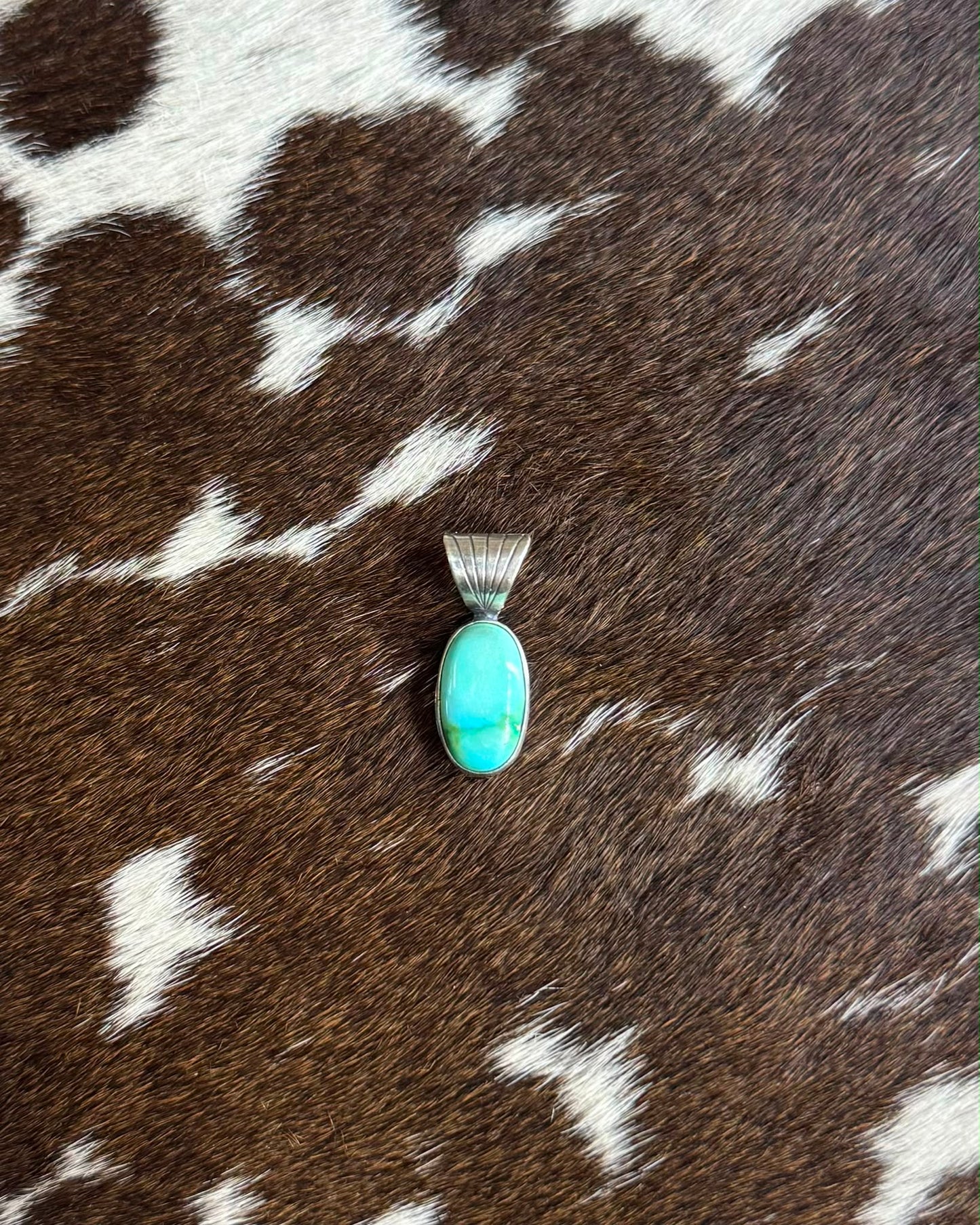 Dainty Sonoran Pendant *Native