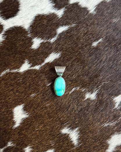 Dainty Sonoran Pendant *Native