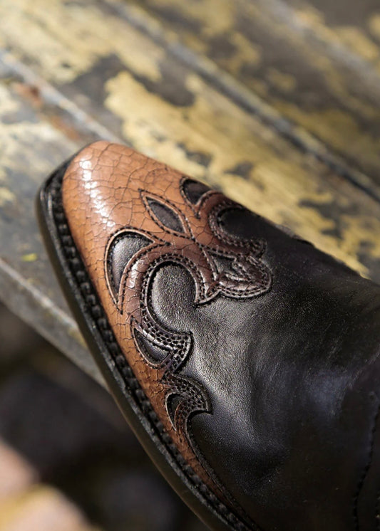 Corral Black-Honey Feather Embroidered Boots