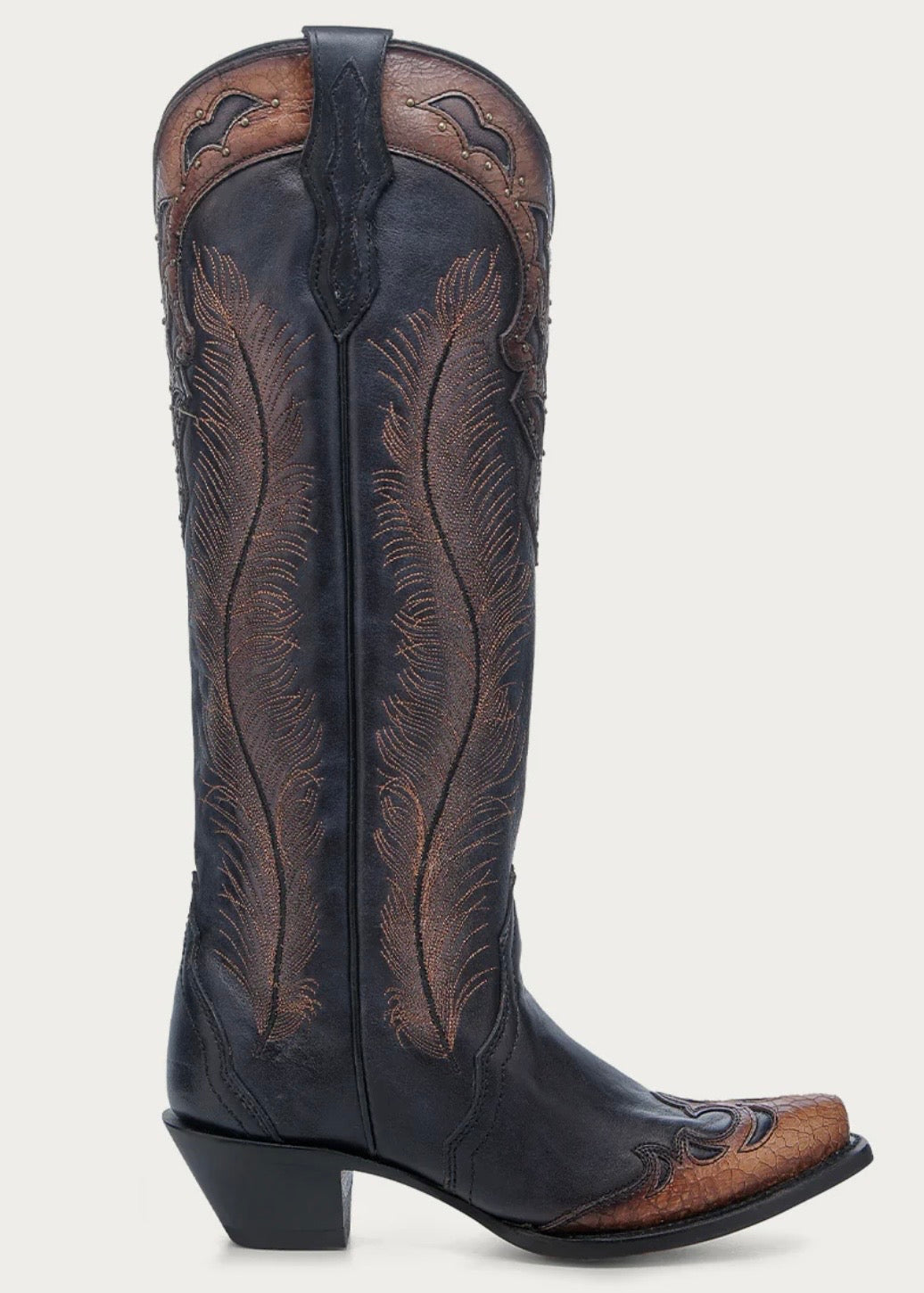 Corral Black-Honey Feather Embroidered Boots