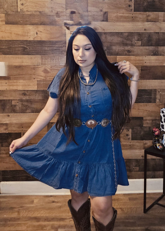 Denim Chambray Dress