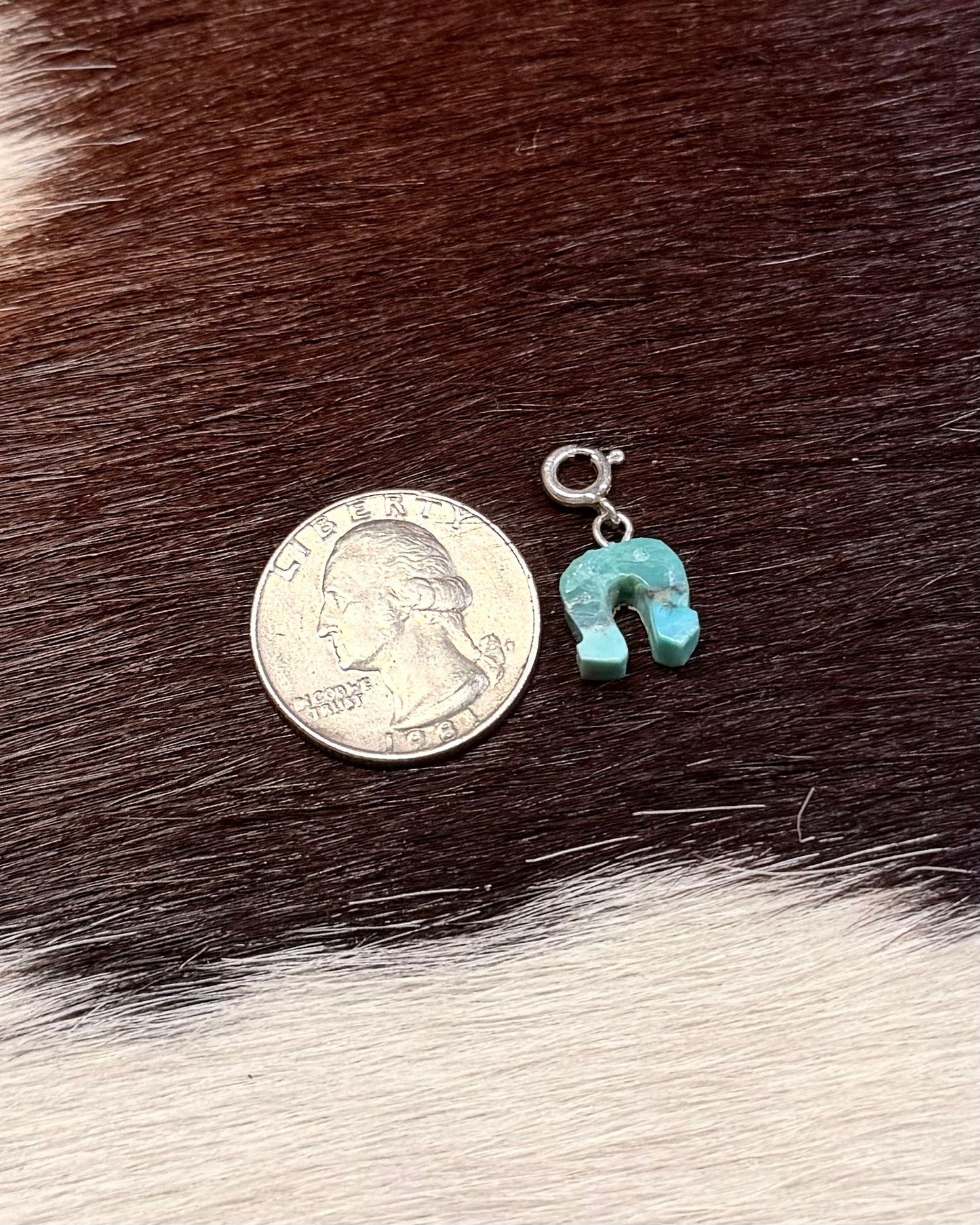 Horseshoe Charm