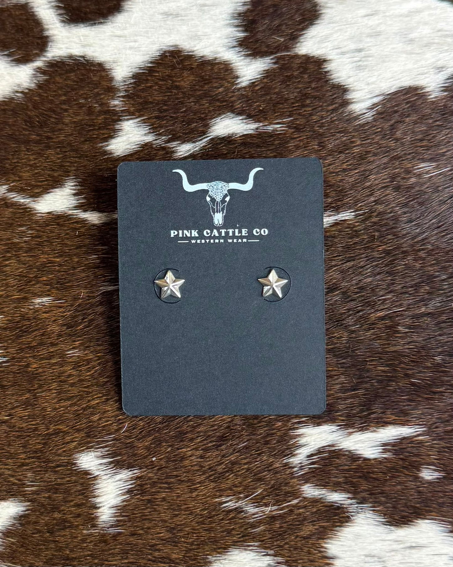 Sterling Mini Star Earrings *Native