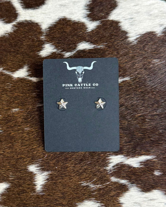 Sterling Mini Star Earrings *Native