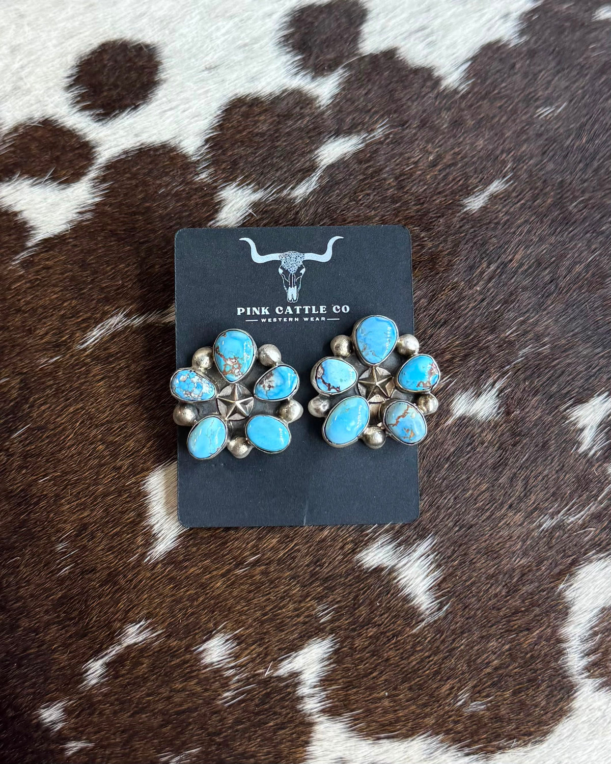 Golden Hills Star Cluster Earrings *Native