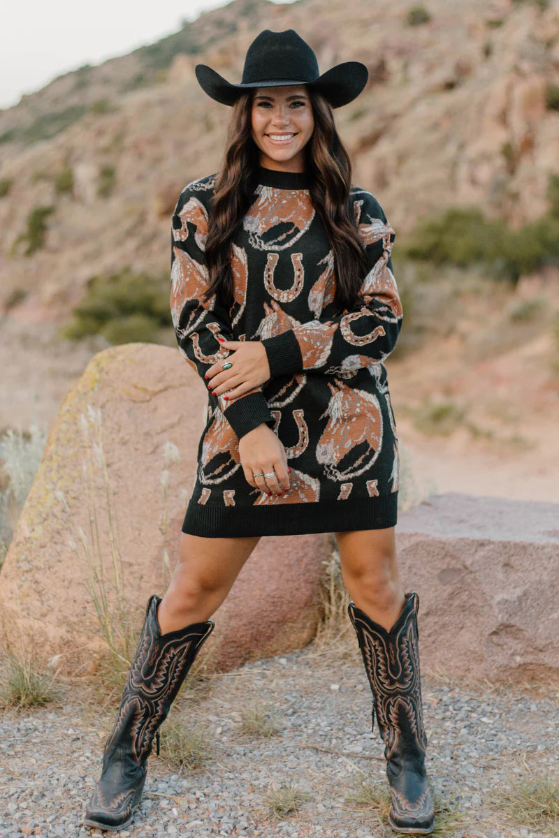 Ruidoso Sweater Dress