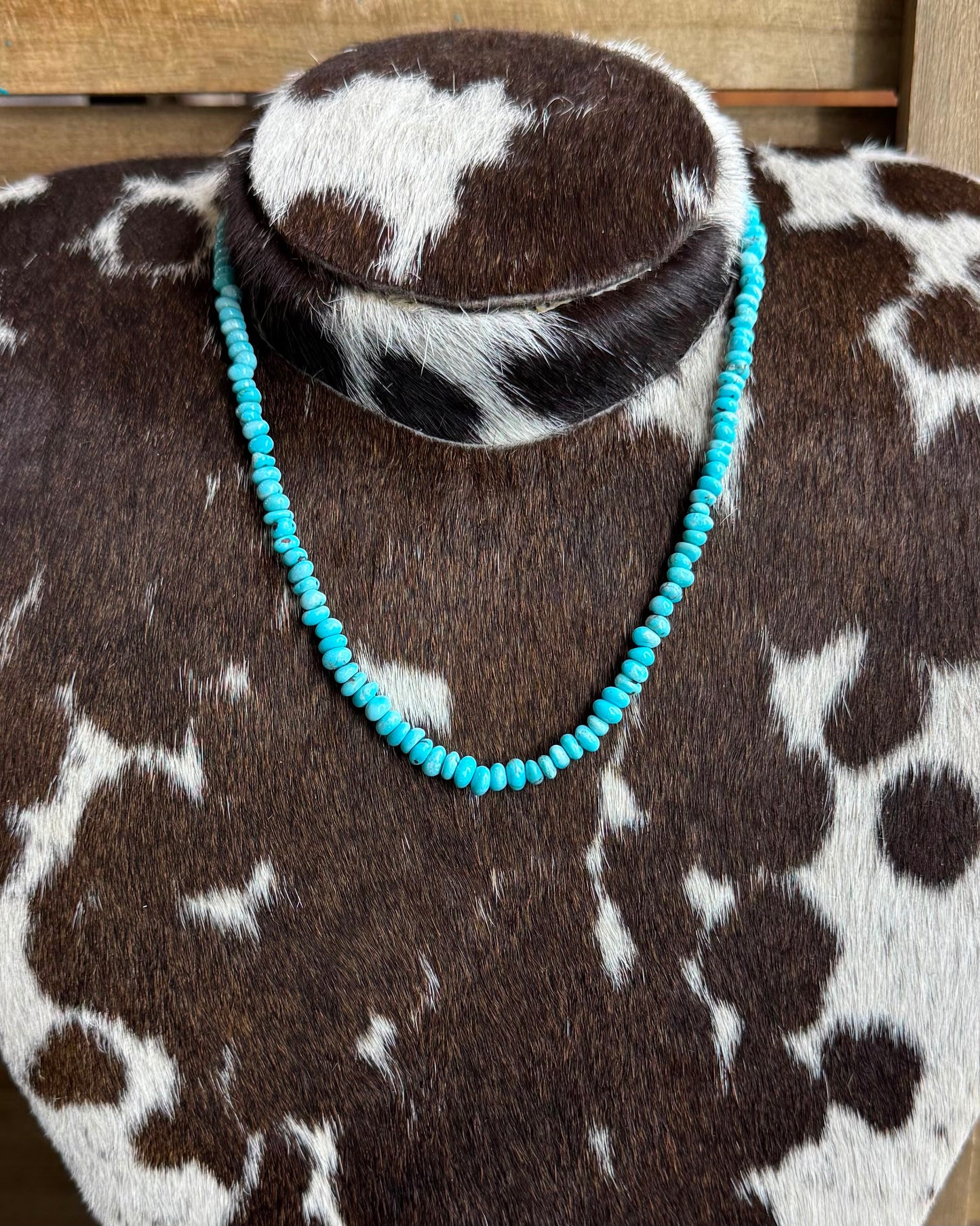 17" Turquoise Stacker Necklace *NonNative