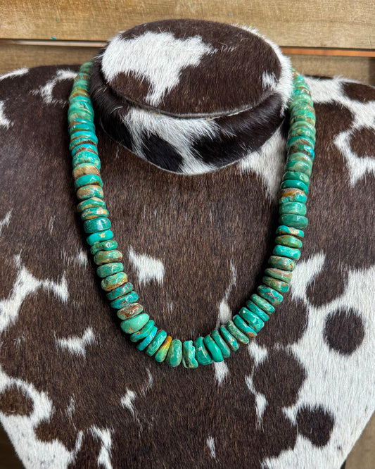 Chunky All Turquoise Necklace  *NonNative