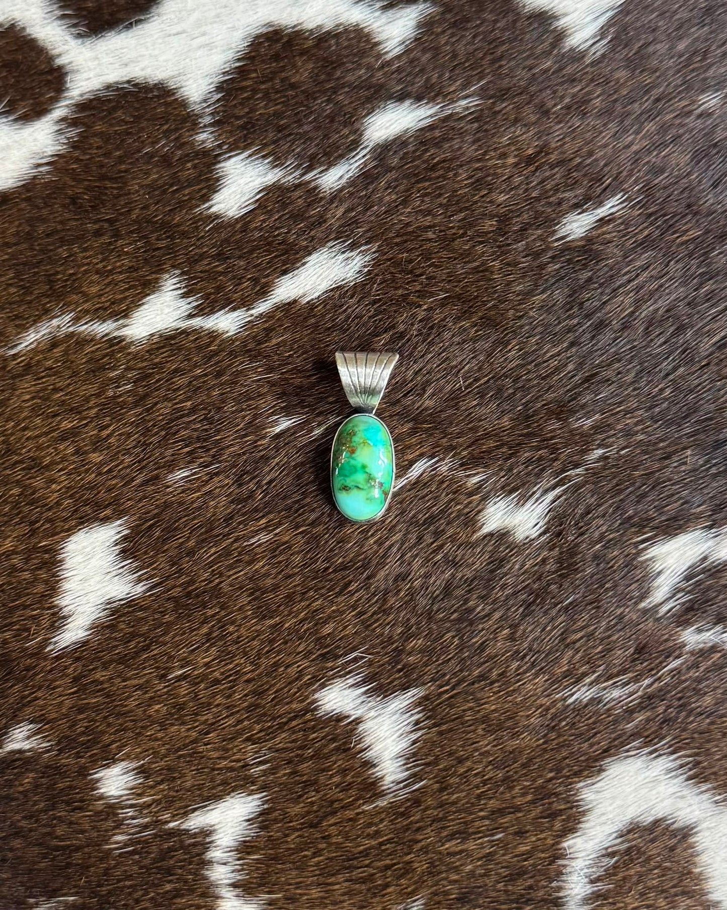 Dainty Sonoran Pendant *Native