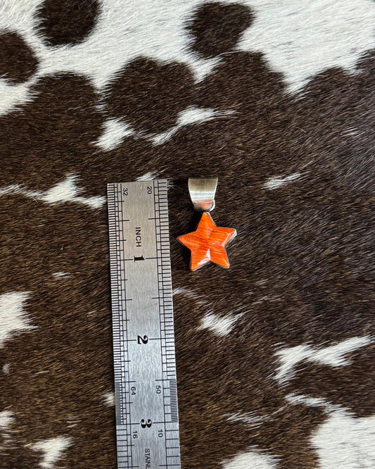Spiny Star Pendant *Native