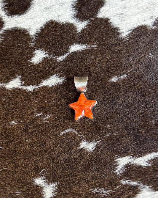 Spiny Star Pendant *Native