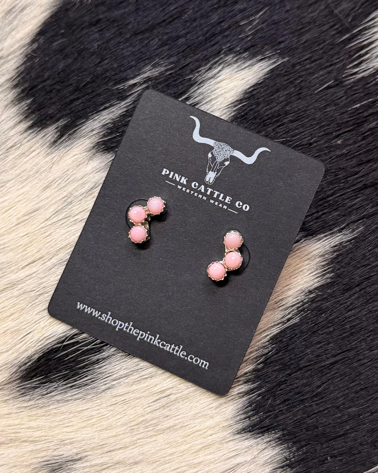 Pink Conch 3 Stone Crawler*Native