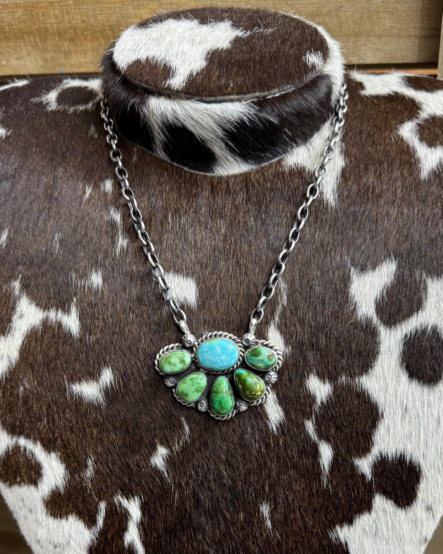 17" Sonoran Spiny Half Cluster Necklace *Native
