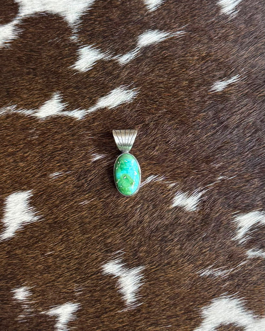 Dainty Sonoran Pendant *Native
